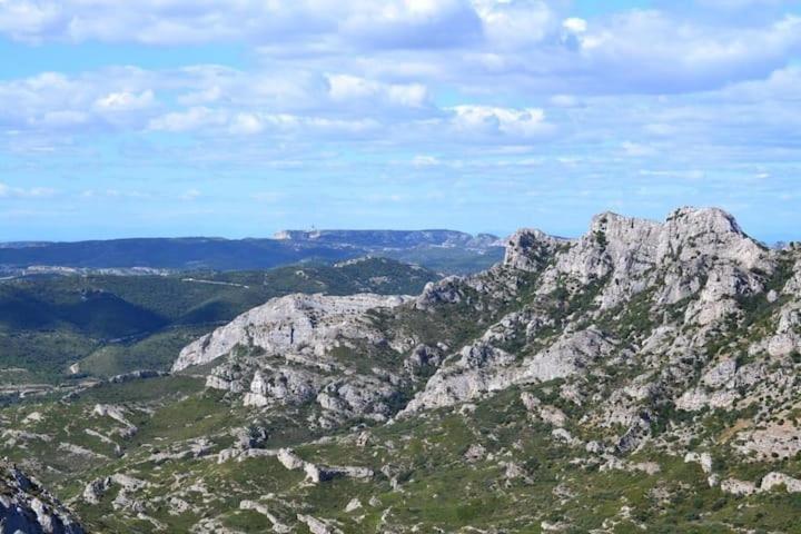 Вілла Le Jardin Des Alpilles Eyguieres Екстер'єр фото